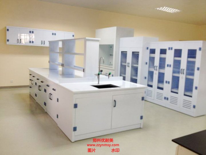 實(shí)驗(yàn)室設(shè)計建設(shè)